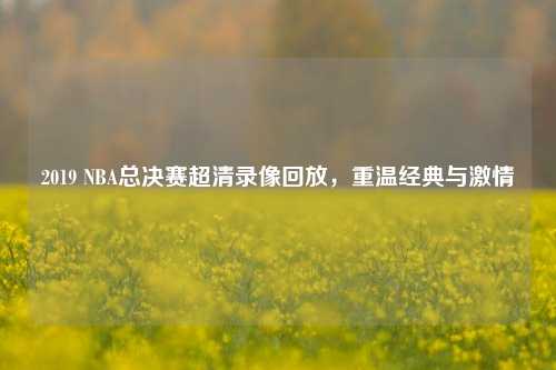 2019 NBA总决赛超清录像回放,重温经典与***