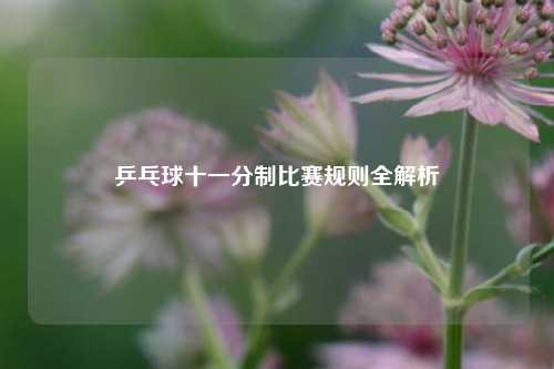 乒乓球十一分制比赛规则全解析