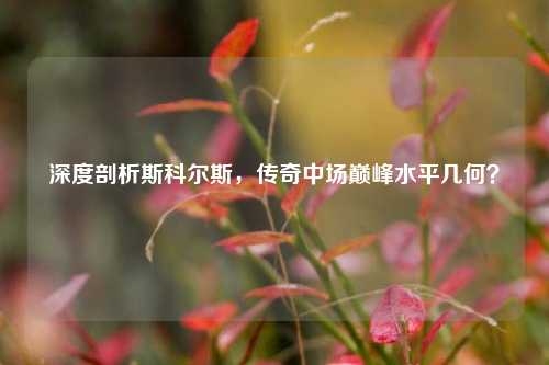 深度剖析斯科尔斯,传奇中场巅峰水平几何?