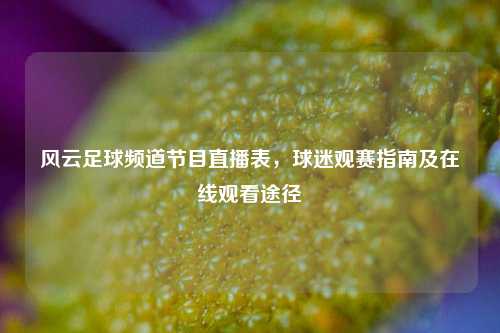 风云足球频道节目直播表,球迷观赛指南及在线观看途径