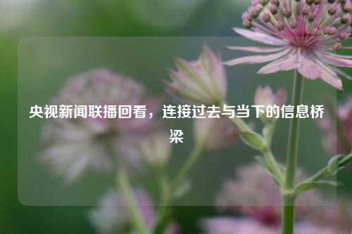 央视新闻联播回看,连接过去与当下的信息桥梁