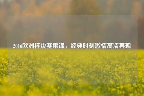 2016欧洲杯决赛集锦,经典时刻***高清再现