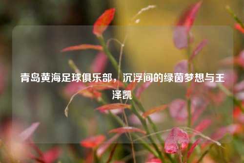 青岛黄海足球俱乐部,沉浮间的绿茵梦想与王泽凯