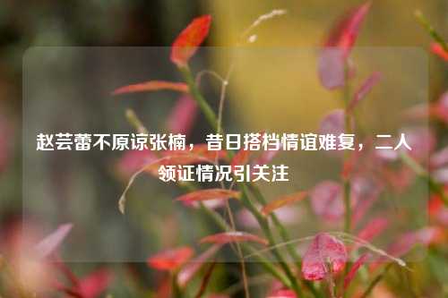 赵芸蕾不原谅张楠,昔日搭档情谊难复,二人领证情况引关注