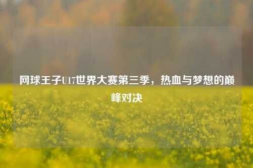 网球王子U17世界大赛第三季,热血与梦想的巅峰对决