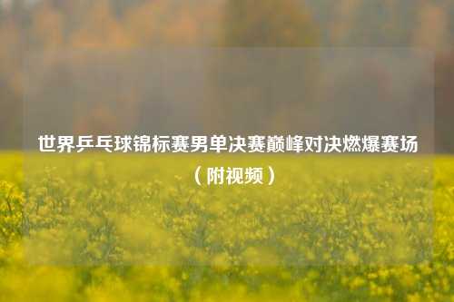 世界乒乓球锦标赛男单决赛巅峰对决燃爆赛场(附视频)