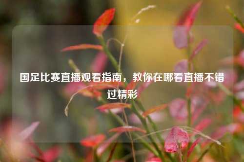 国足比赛直播观看指南,教你在哪看直播不错过精彩