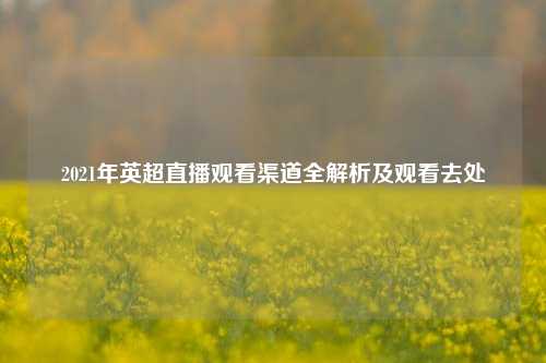 2021年英超直播观看渠道全解析及观看去处