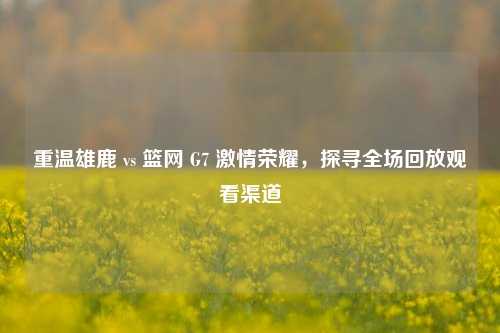 重温雄鹿 vs 篮网 G7 ***荣耀,探寻全场回放观看渠道