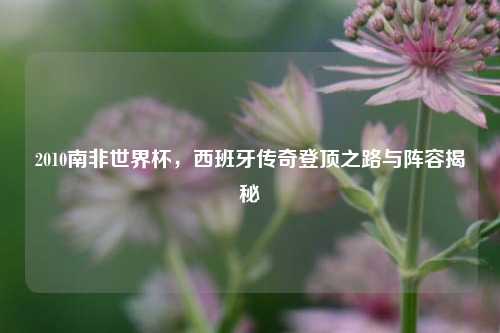 2010南非世界杯,西班牙传奇登顶之路与阵容揭秘