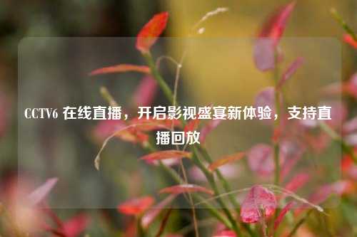 CCTV6 在线直播,开启影视盛宴新体验,支持直播回放