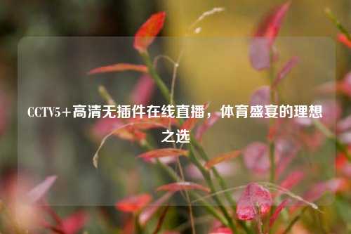 CCTV5+高清无插件在线直播,体育盛宴的理想之选