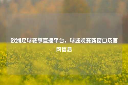 欧洲足球赛事直播平台,球迷观赛新窗口及官网信息