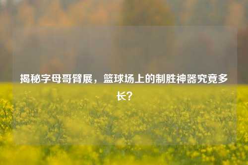 揭秘字母哥臂展,篮球场上的制胜神器究竟多长?