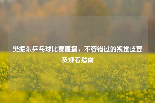 樊振东乒乓球比赛直播,不容错过的视觉盛宴及观看指南