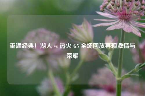 重温经典!湖人 vs 热火 G5 全场回放再现***与荣耀
