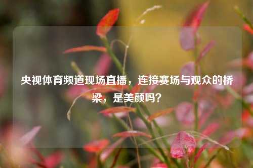 央视体育频道现场直播,连接赛场与观众的桥梁,是美颜吗?