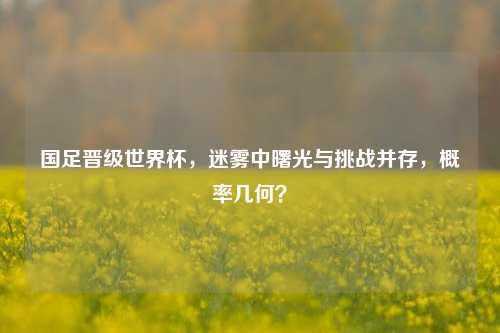 国足晋级世界杯,迷雾中曙光与挑战并存,概率几何?