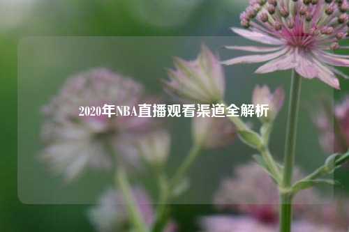 2020年NBA直播观看渠道全解析