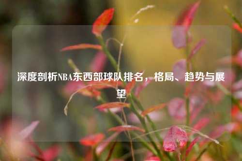 深度剖析NBA东西部球队排名,格局、趋势与展望
