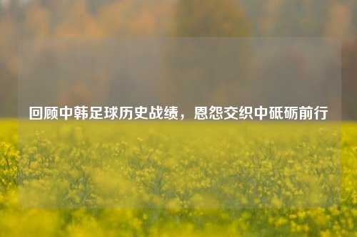 回顾中韩足球历史战绩,恩怨交织中砥砺前行