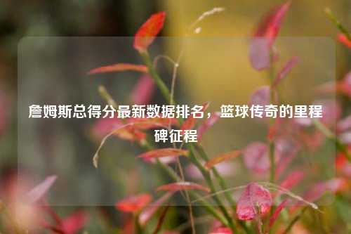 詹姆斯总得分最新数据排名,篮球传奇的里程碑征程