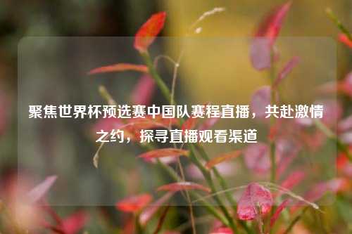 聚焦世界杯预选赛中国队赛程直播,共赴***之约,探寻直播观看渠道