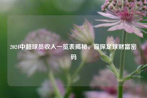 2024中超球员收入一览表揭秘,窥探足球财富密码