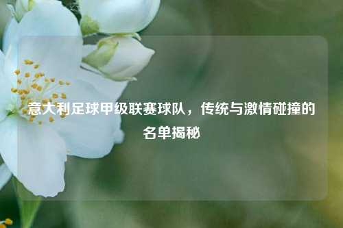 意大利足球甲级联赛球队,传统与***碰撞的名单揭秘