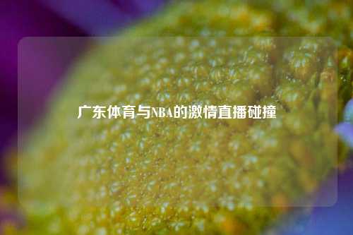 广东体育与NBA的***直播碰撞