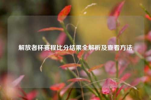 解放者杯赛程比分结果全解析及查看