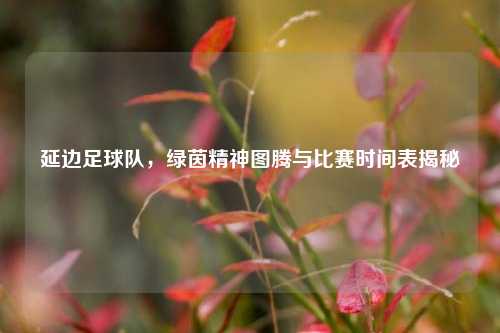 延边足球队,绿茵精神图腾与比赛时间表揭秘