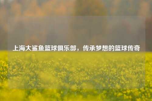 上海大鲨鱼篮球俱乐部,传承梦想的篮球传奇