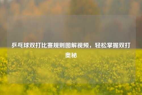 乒乓球双打比赛规则图解视频,轻松掌握双打奥秘
