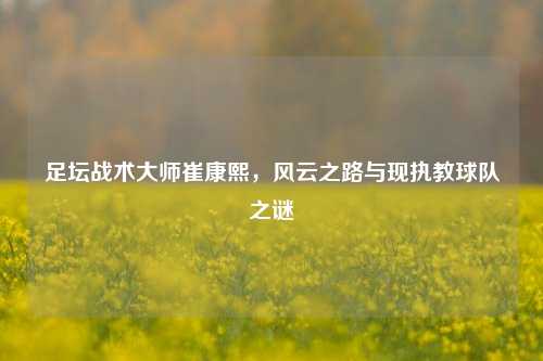 足坛战术***崔康熙,风云之路与现执教球队之谜