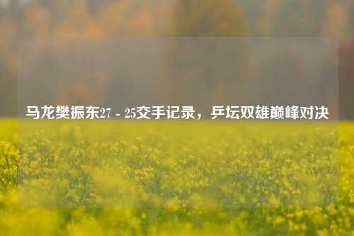 马龙樊振东27 - 25交手记录,乒坛双雄巅峰对决