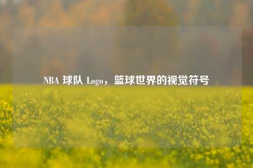 NBA 球队 Logo,篮球世界的视觉符号