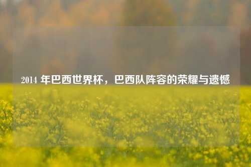 2014 年巴西世界杯,巴西队阵容的荣耀与遗憾