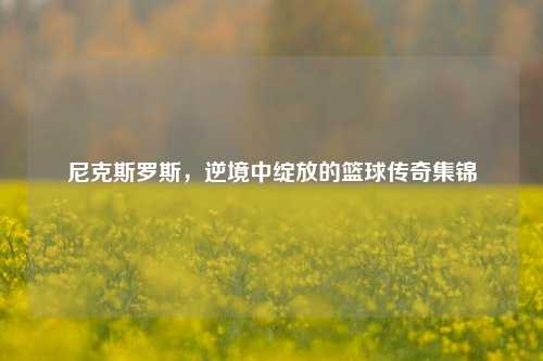 尼克斯罗斯,逆境中绽放的篮球传奇集锦