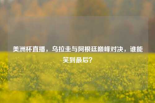 美洲杯直播,乌拉圭与阿根廷巅峰对决,谁能笑到最后?