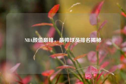 NBA颜值巅峰,最帅球员排名揭秘