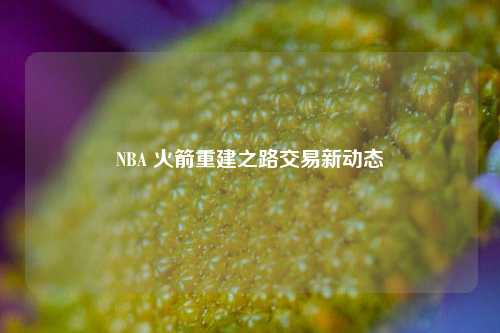 NBA 火箭重建之路交易新动态