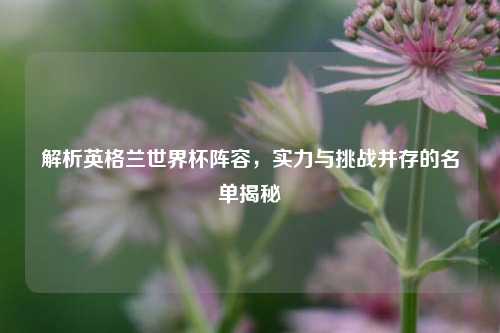 解析英格兰世界杯阵容,实力与挑战并存的名单揭秘