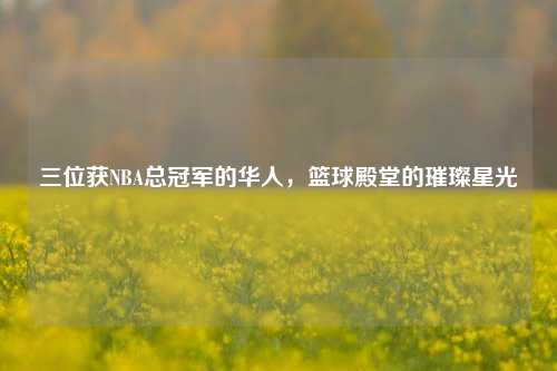 三位获NBA总冠军的华人,篮球殿堂的璀璨星光