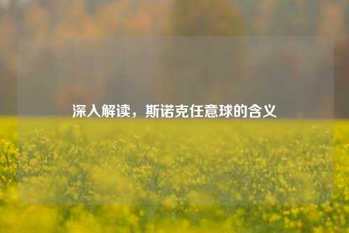 深入解读,斯诺克任意球的含义