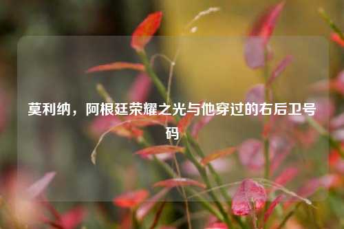 莫利纳,阿根廷荣耀之光与他穿过的右后卫号码
