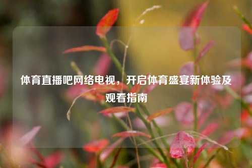 体育直播吧 电视,开启体育盛宴新体验及观看指南