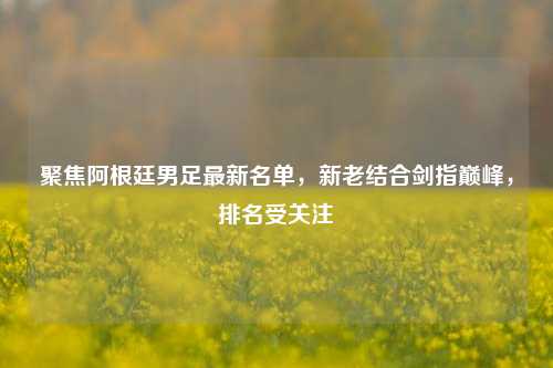 聚焦阿根廷男足最新名单,新老结合剑指巅峰,排名受关注