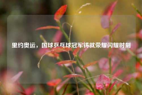 里约奥运,国球乒乓球冠军铸就荣耀闪耀时刻