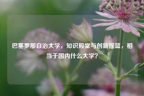 巴塞罗那自治大学,知识殿堂与创新摇篮,相当于国内什么大学?
